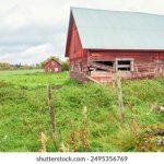 禁闭岛:豆瓣评分与影评解析,揭示心理惊悚的深层含义 0o1q3