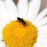 福彩3D字谜图谜总汇大全10期:全面解析与技巧分享,助你轻松中奖! 2phzwtrjbh