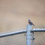 福利姬攒钱买房买到烂尾楼了:揭示背后不为人知的辛酸故事 3f6obm9