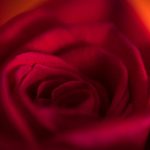 私密教学无删减樱花动漫:探索隐秘知识的奇妙旅程与成长 aixk3i4k5q