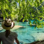 电影猎手如何在网络上迅速传播成病毒现象? cmbmyx6co