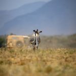 秀人网周:探索时尚与创意的无限可能 eo9y37137f