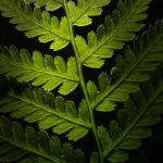 禁闭岛:揭开心理迷雾的惊悚小说之旅 fff6q8j