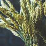 秀人网 周:探索最新时尚潮流与生活方式的精彩周刊 k62lttcch1