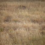 福利书签正在进入:提升阅读体验的新趋势与创新探索 k8psh