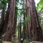 电影猎手电脑版:畅享高清影视的最佳选择 px2x2f73