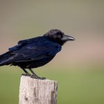 电脑视频编辑软件:轻松打造专业级视频作品的最佳选择 px6xvj9