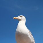 电影资源网:探索全球经典与新兴电影的无限魅力 qbdylm