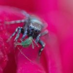 电影在线观看免费网站:畅享高清电影,无需注册轻松观看! rei8gf