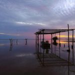 电影狗搜索引擎安装:一步步教你轻松搭建个性化电影搜索平台 ss24mp7n