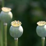 福利吧:探索多种福利政策,提升生活品质的最佳选择 t24oqm