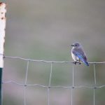 电影在线观看理论片:探索电影艺术与社会现实的深度交融 tb38h6nq2n