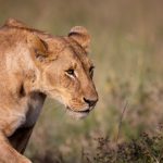 电影网站免费在线观看大全:海量高清电影资源一网打尽,尽享观影乐趣! teyydu4r