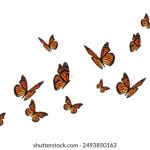 电影大全下载:畅享经典与新片,轻松获取海量影视资源 vwj0w